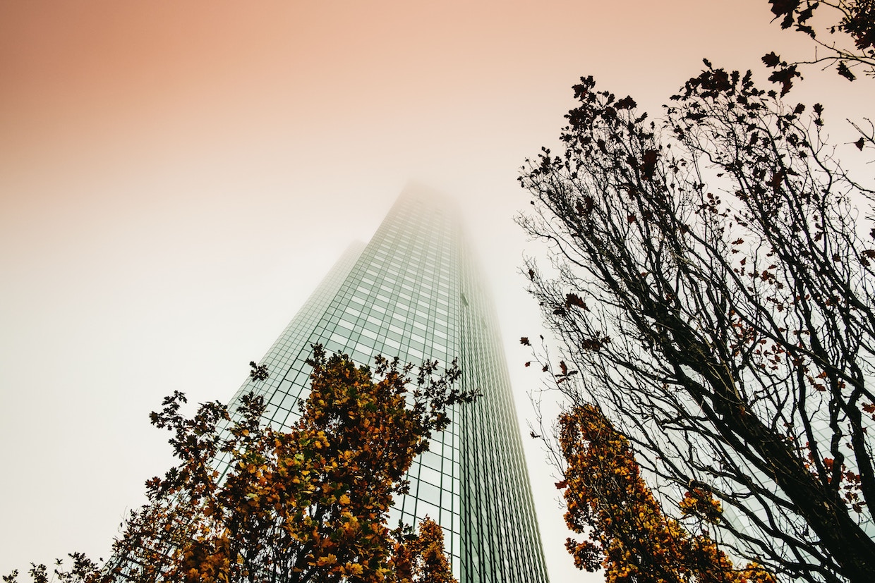 Die Evolution der Nachhaltigkeit – FinanceFWD