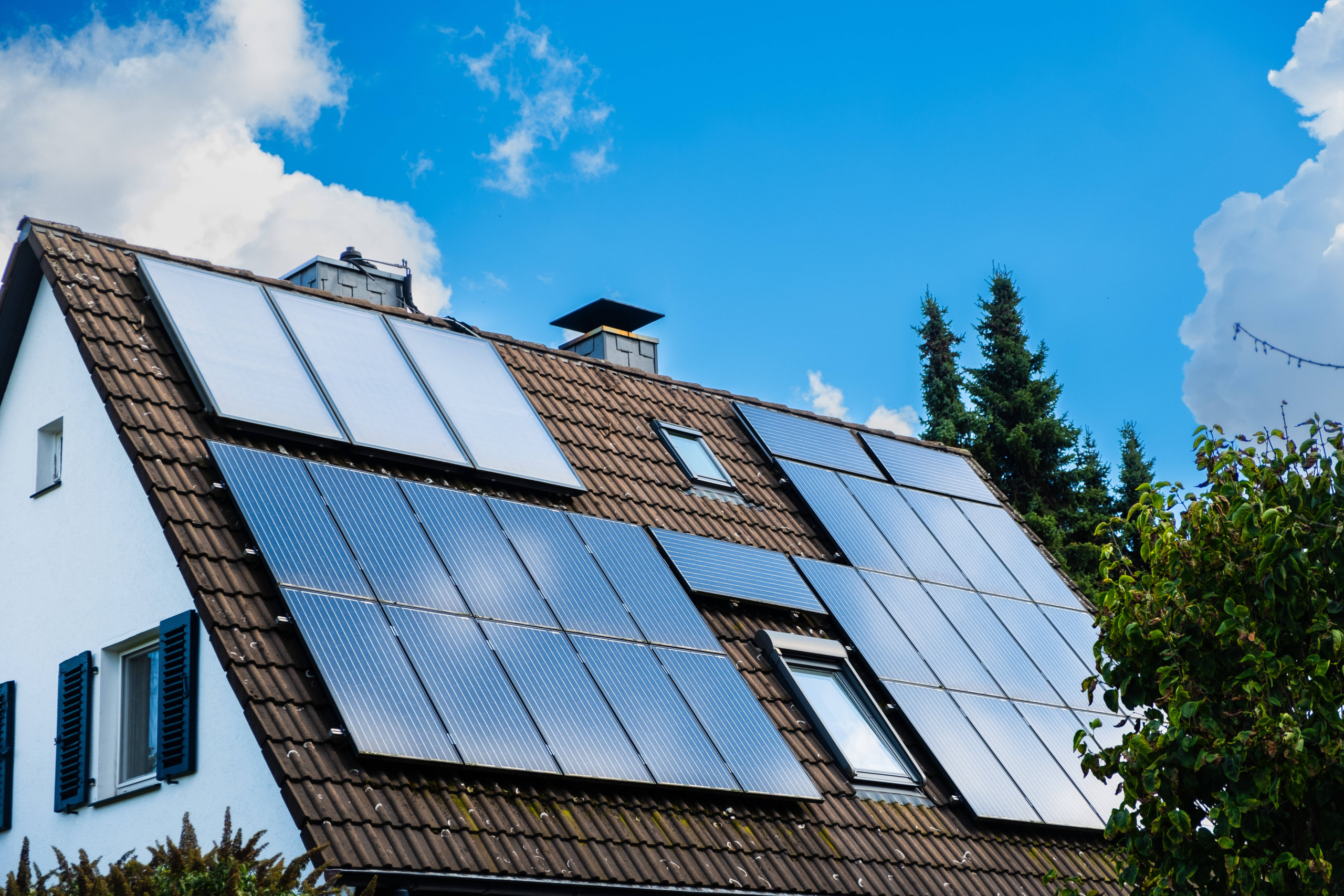 Solaranlage auf Pump: Bees & Bears sichert sich halbe Milliarde – FinanceFWD